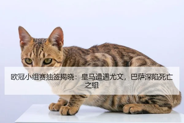 欧冠小组赛抽签揭晓：皇马遭遇尤文，巴萨深陷死亡之组