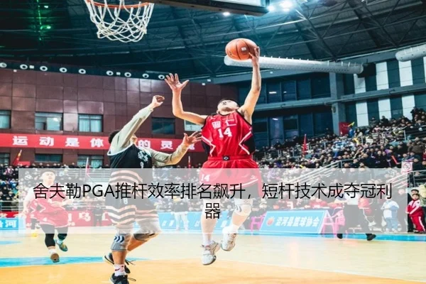 she-fu-lei-tui-gan-xiao-lv-pai-ming-biao-sheng-duan-gan-ji-shu-cheng-duo-guan-li-qi-2-822.jpg