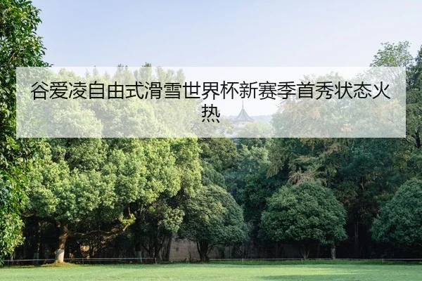 gu-ai-ling-zi-you-shi-hua-xue-shi-jie-bei-xin-sai-ji-shou-xiu-zhuang-tai-huo-re-1-595.jpg
