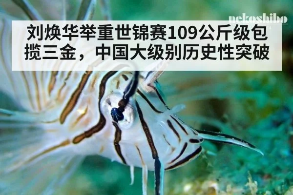 刘焕华举重世锦赛109公斤级包揽三金，中国大级别历史性突破